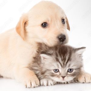 Meet your Posher, Andy